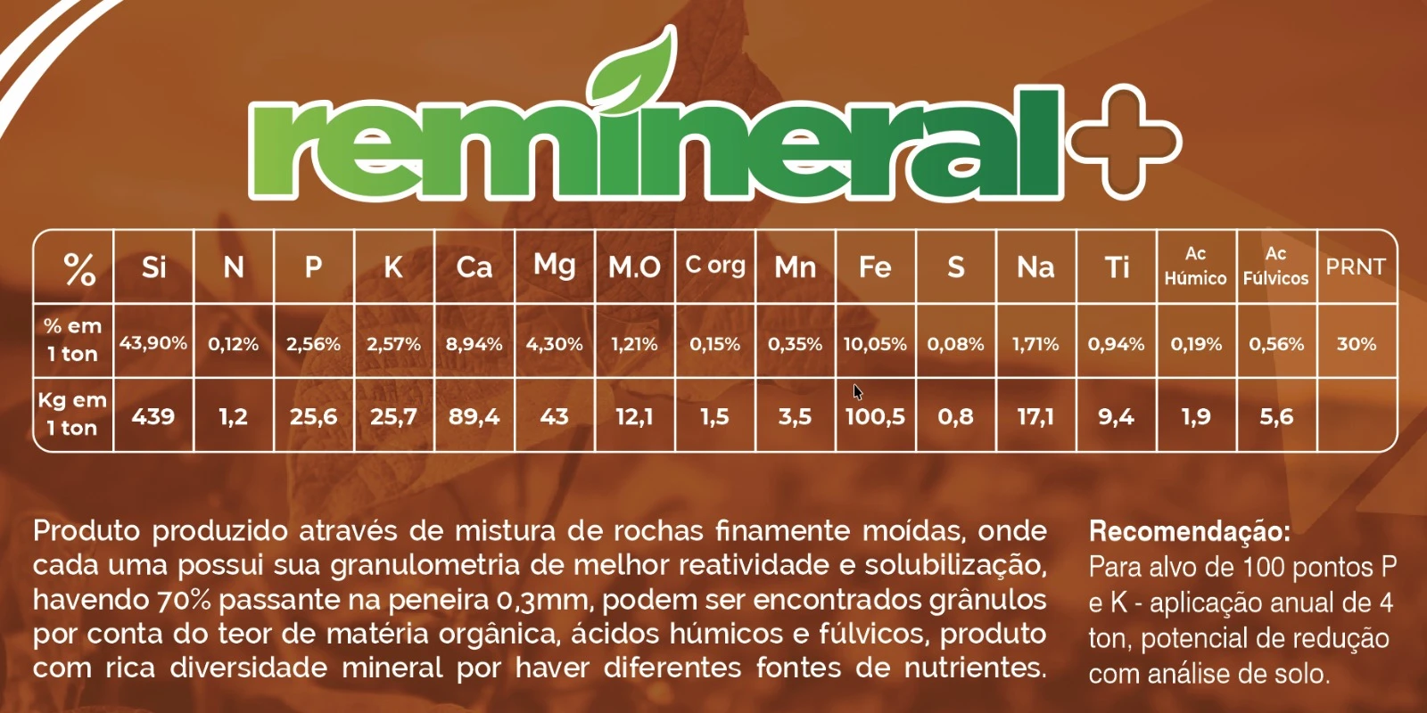 Bag Remineral
